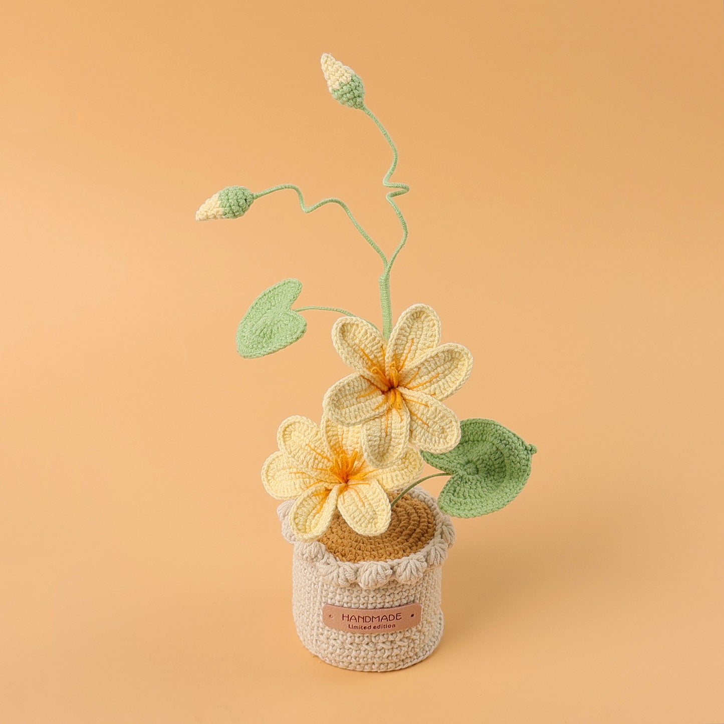 Handcrafted Crochet Tung Flower  (Double flowers)
