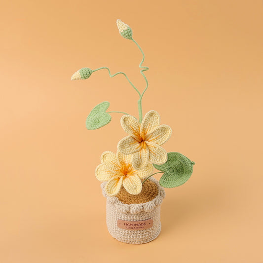 Handcrafted Crochet Tung Flower  (Double flowers)